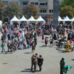 Hanami_2015_069.jpg